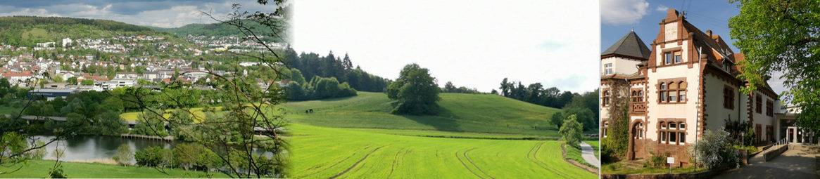 Kopfbild: Dekanat und Landschaft
