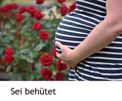 Bauch einer Schwangeren, im Hintergrund ein Rosenbusch. Motto: Sei behütet